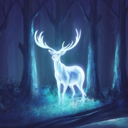 Avatar du membre